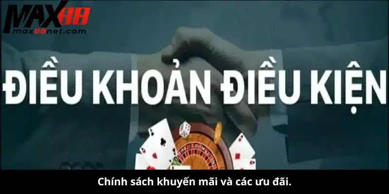 điều khoản và điều kiện MAX88
